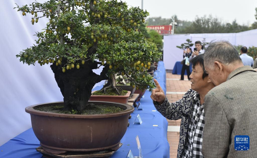 永利棋牌大厅